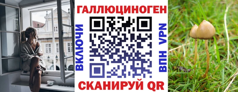 Псилоцибиновые грибы GOLDEN TEACHER  Купить закладки  Вязники 